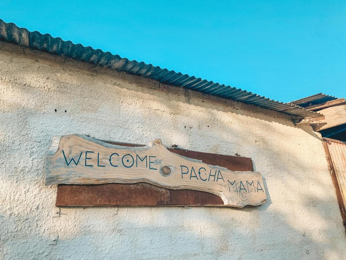 Visit Pachamama Community Apartment Alcácer do Sal Exterior photo